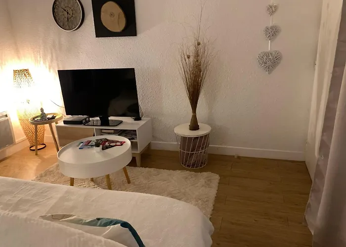 Appartement De 2 Avec Balcon A De Bigorre *